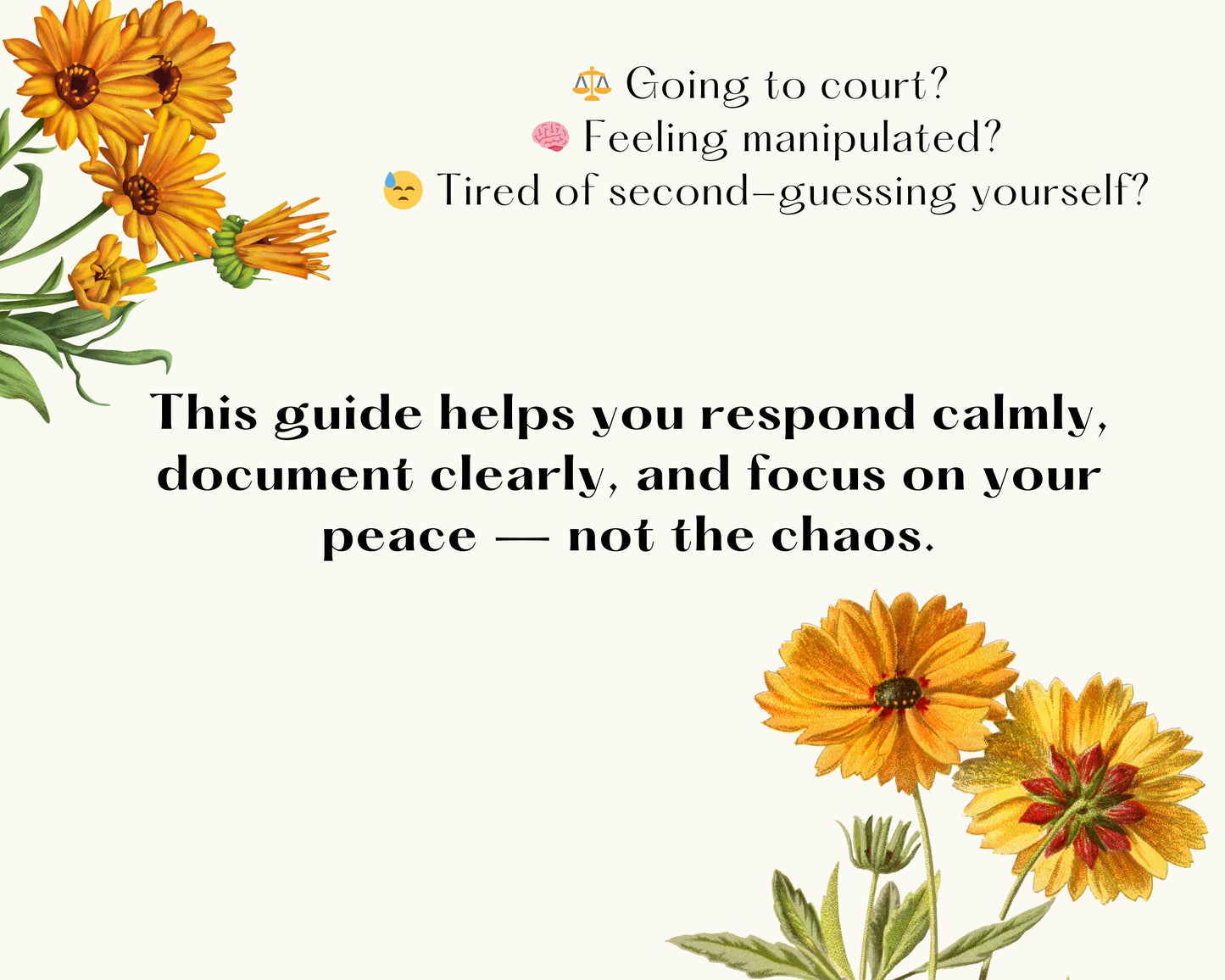 High-Conflict Co-Parenting Survival Guide
