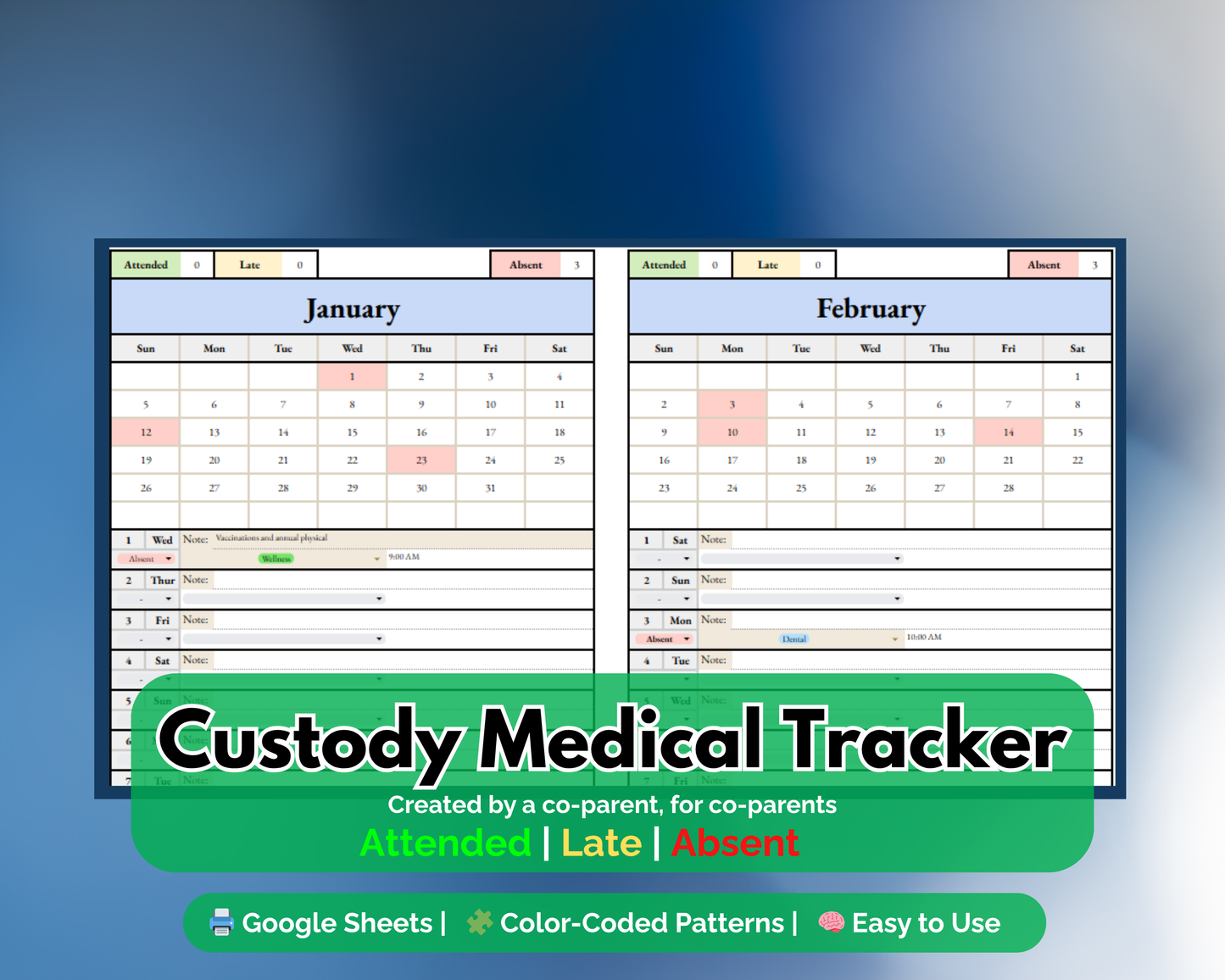 Custody Medical Appointment Tracker - Google Sheets
