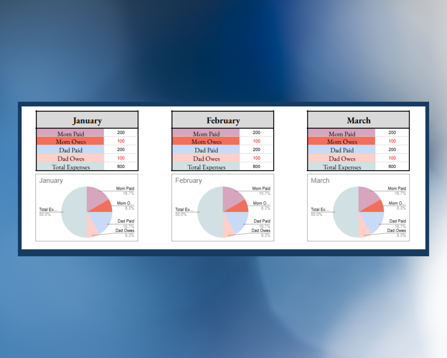 Child Custody Expense Tracker