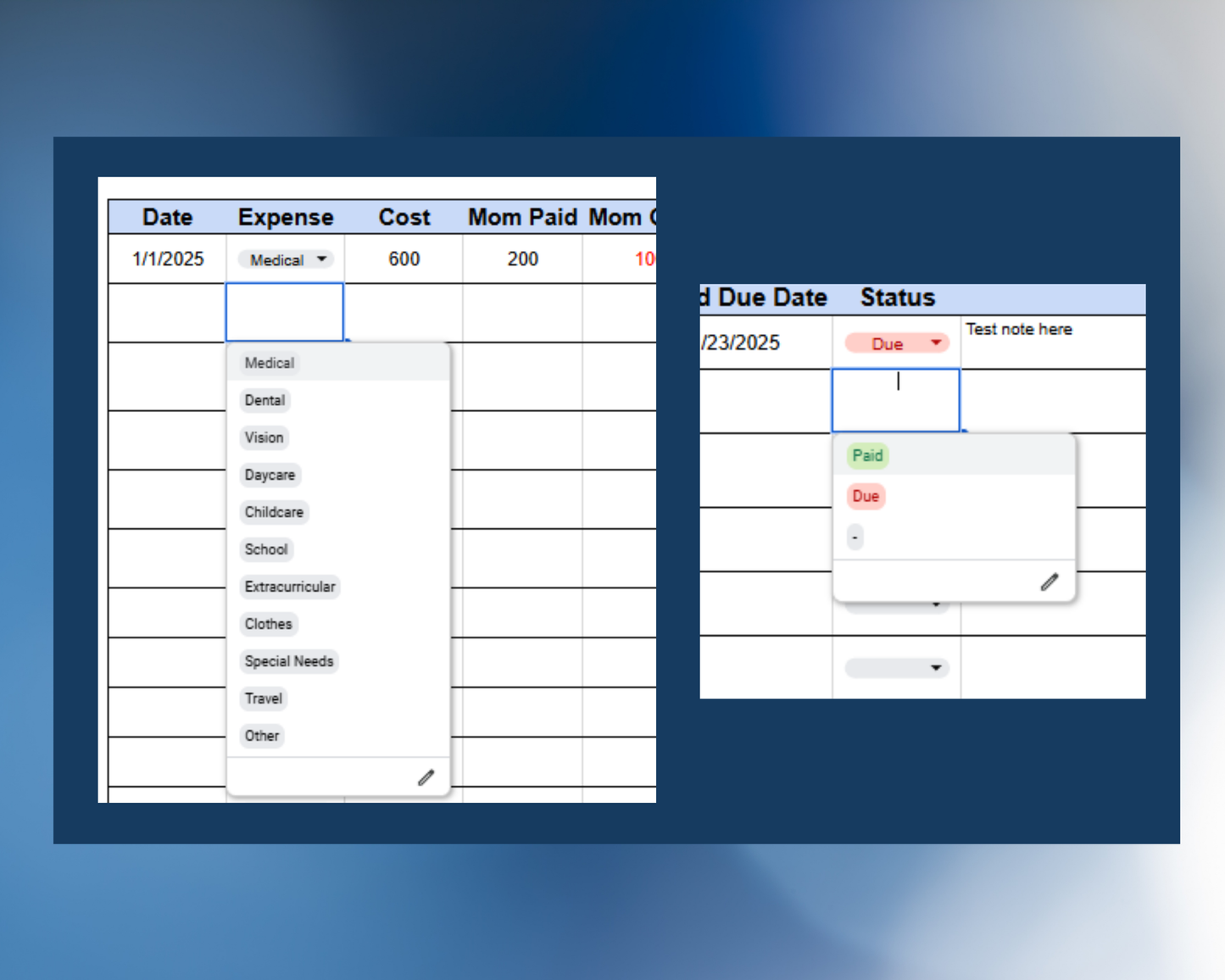 Child Custody Expense Tracker